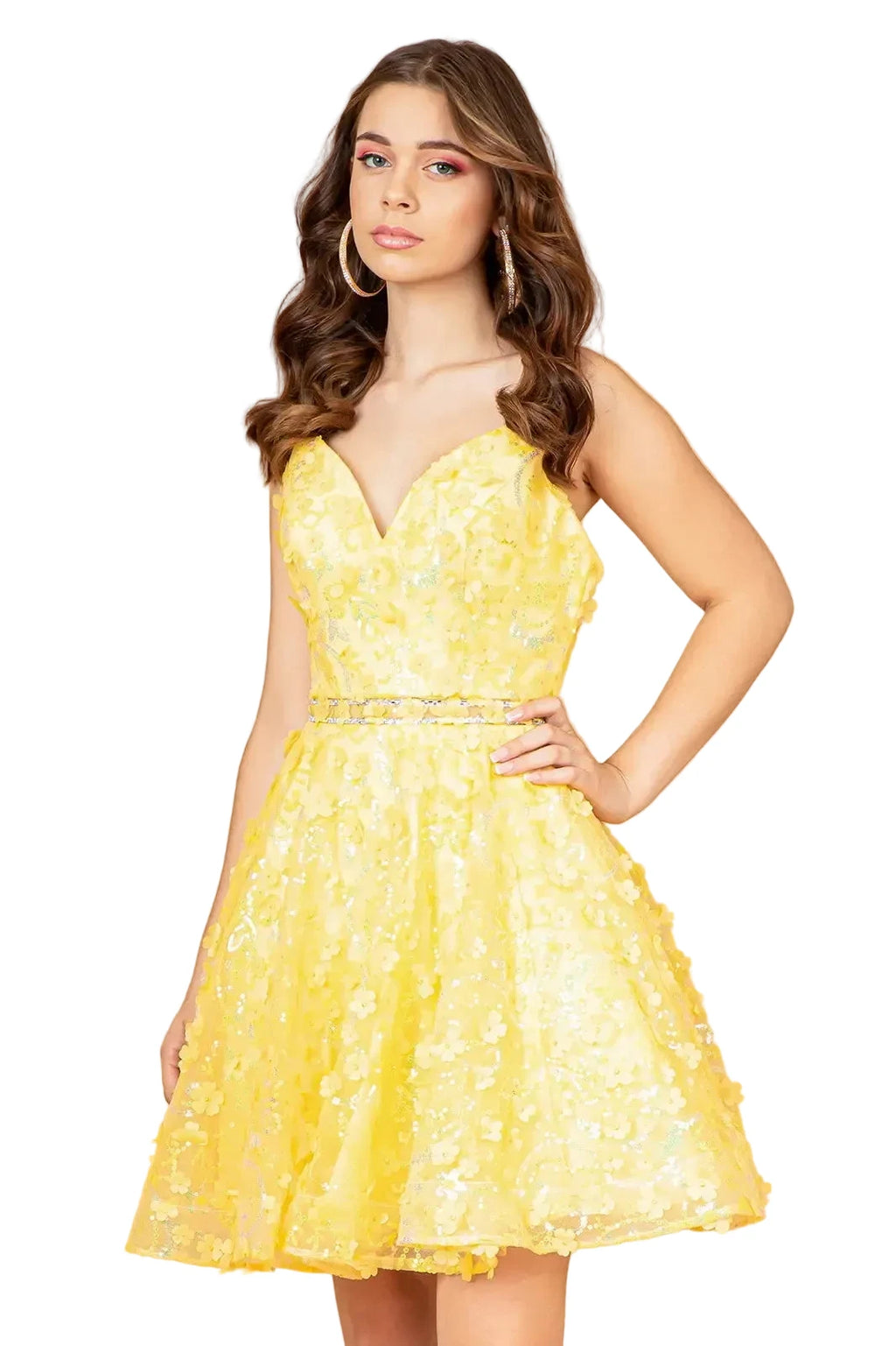 Baby Doll Jewel Mini Dress
